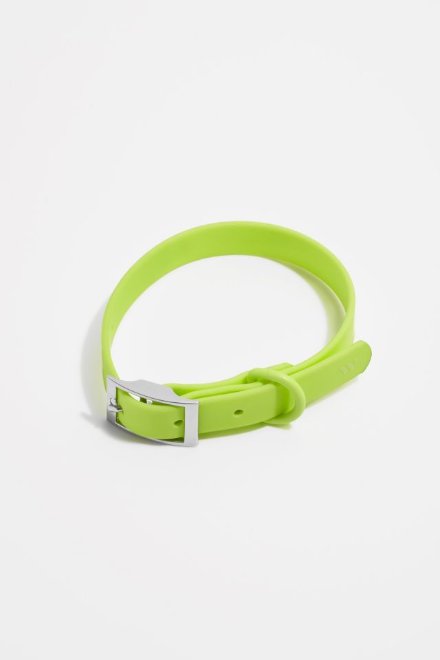 Wild One Dog Collar #1