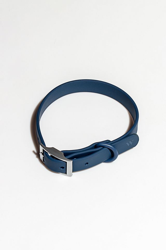 Wild One Dog Collar #1