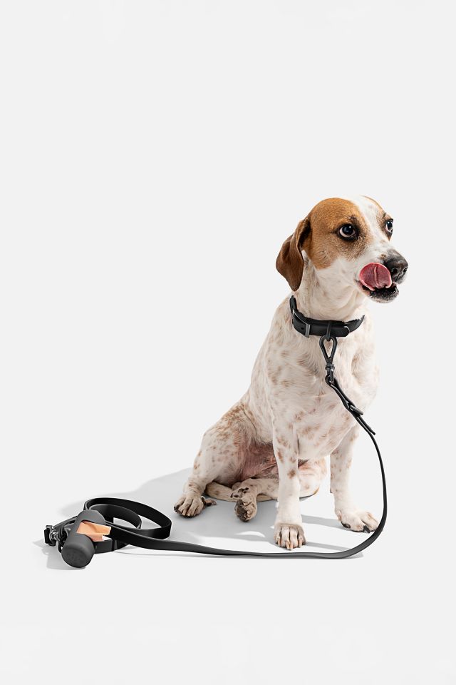 Wild One Adjustable Dog Leash #4