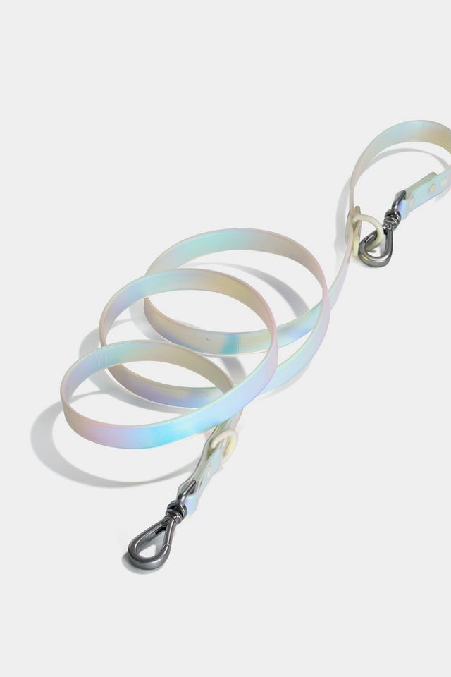 Wild One Adjustable Dog Leash #1