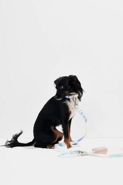 Wild One Adjustable Dog Leash