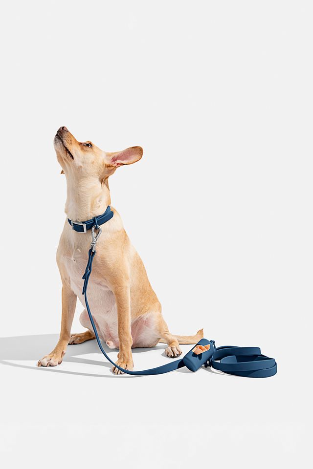 Wild One Adjustable Dog Leash #4