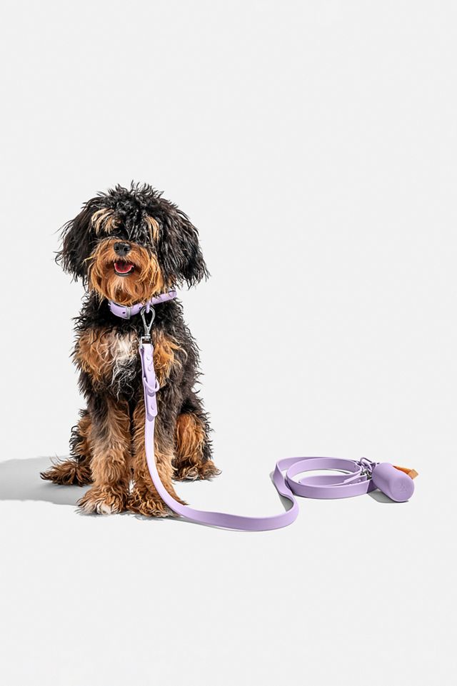 Wild One Adjustable Dog Leash #4