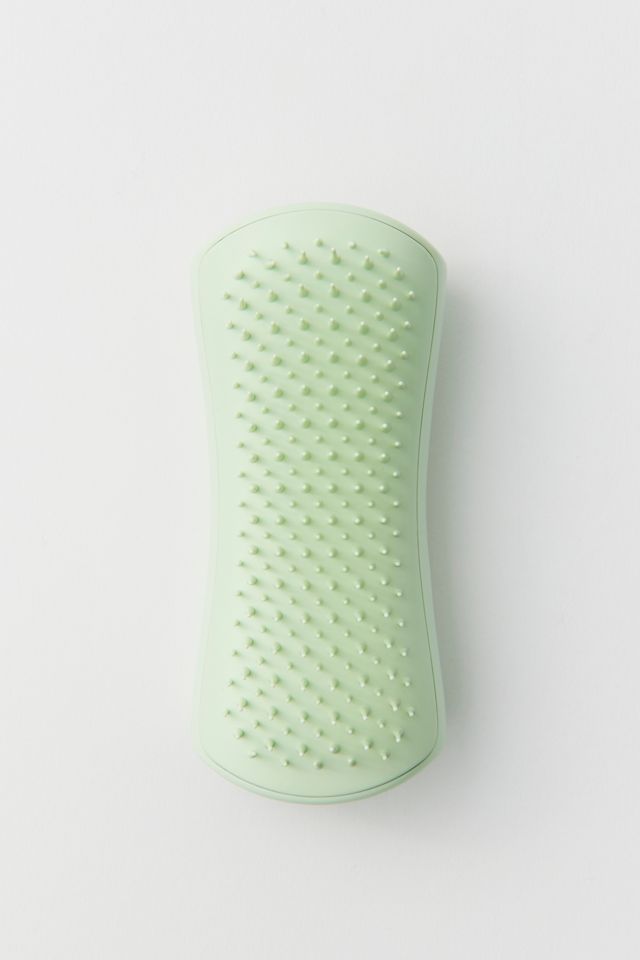 Tangle Teezer Pet Teezer Puppy Grooming Brush Urban Outfitters