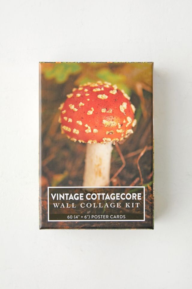 Vintage Cottagecore Wall Collage Kit By Adams Media #1