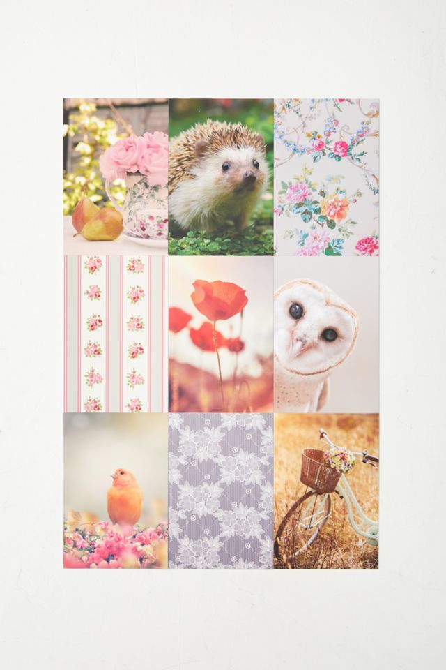 Vintage Cottagecore Wall Collage Kit By Adams Media #2