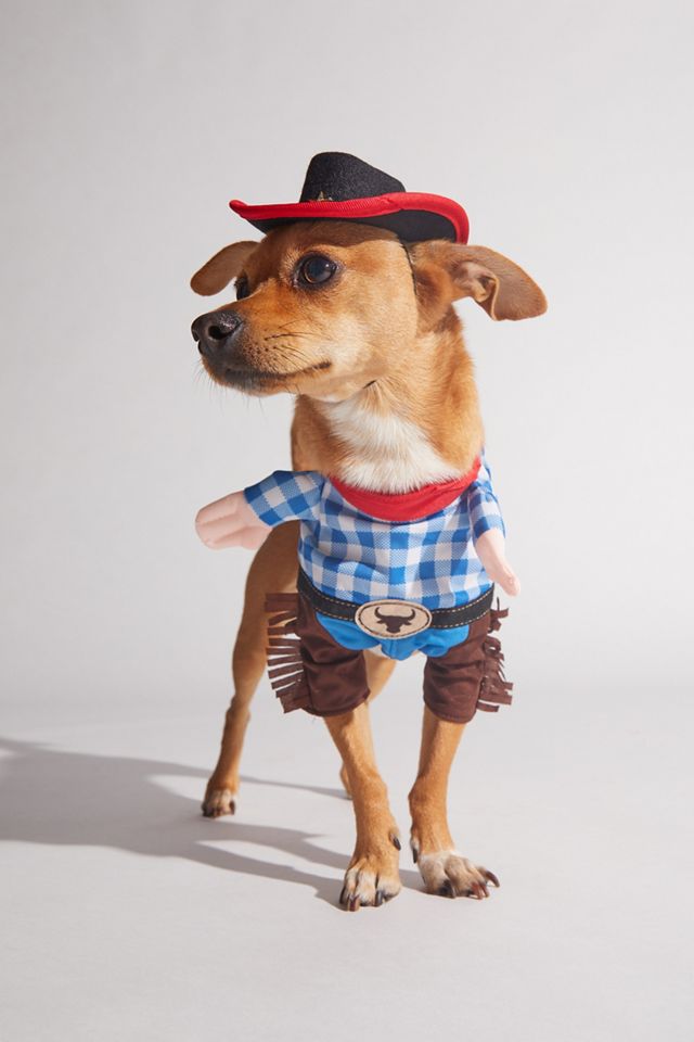 Cowboy Pet Costume Urban Outfitters