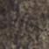 Medium Brown