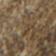 Soft Brown