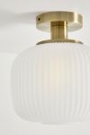 Hail Flush Mount Light