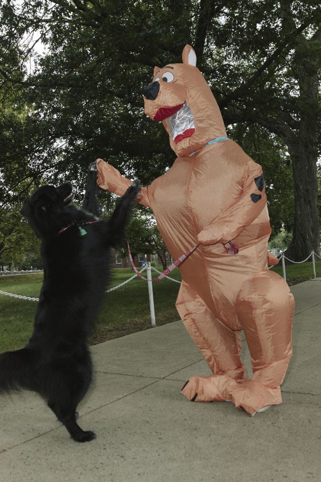Scooby Doo Inflatable Halloween Costume #1
