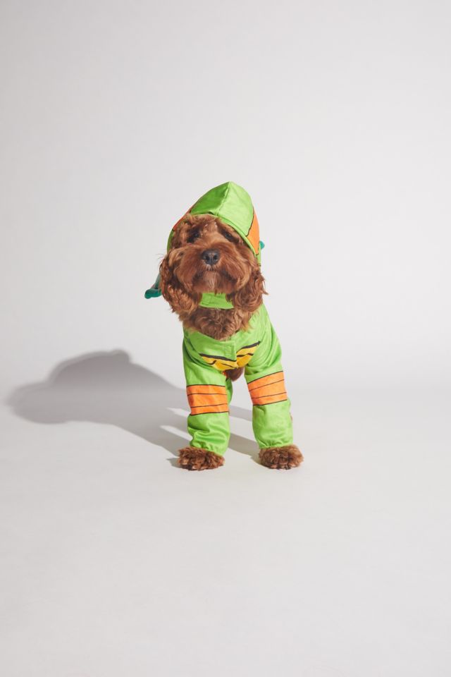 Teenage Mutant Ninja Turtle Pet Halloween Costume #3