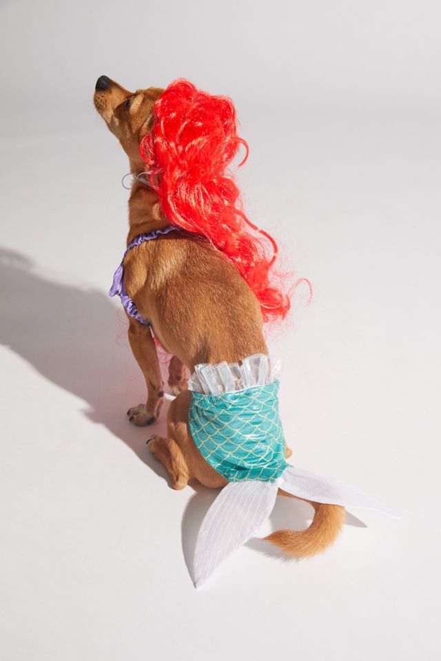 Little Mermaid Pet Halloween Costume #1