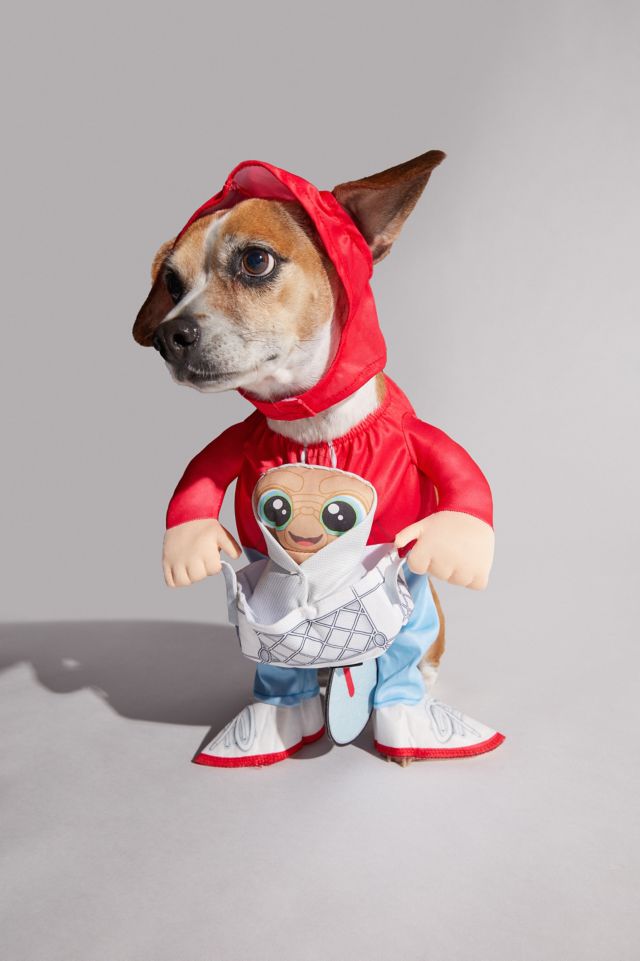 Dog Halloween Costumes