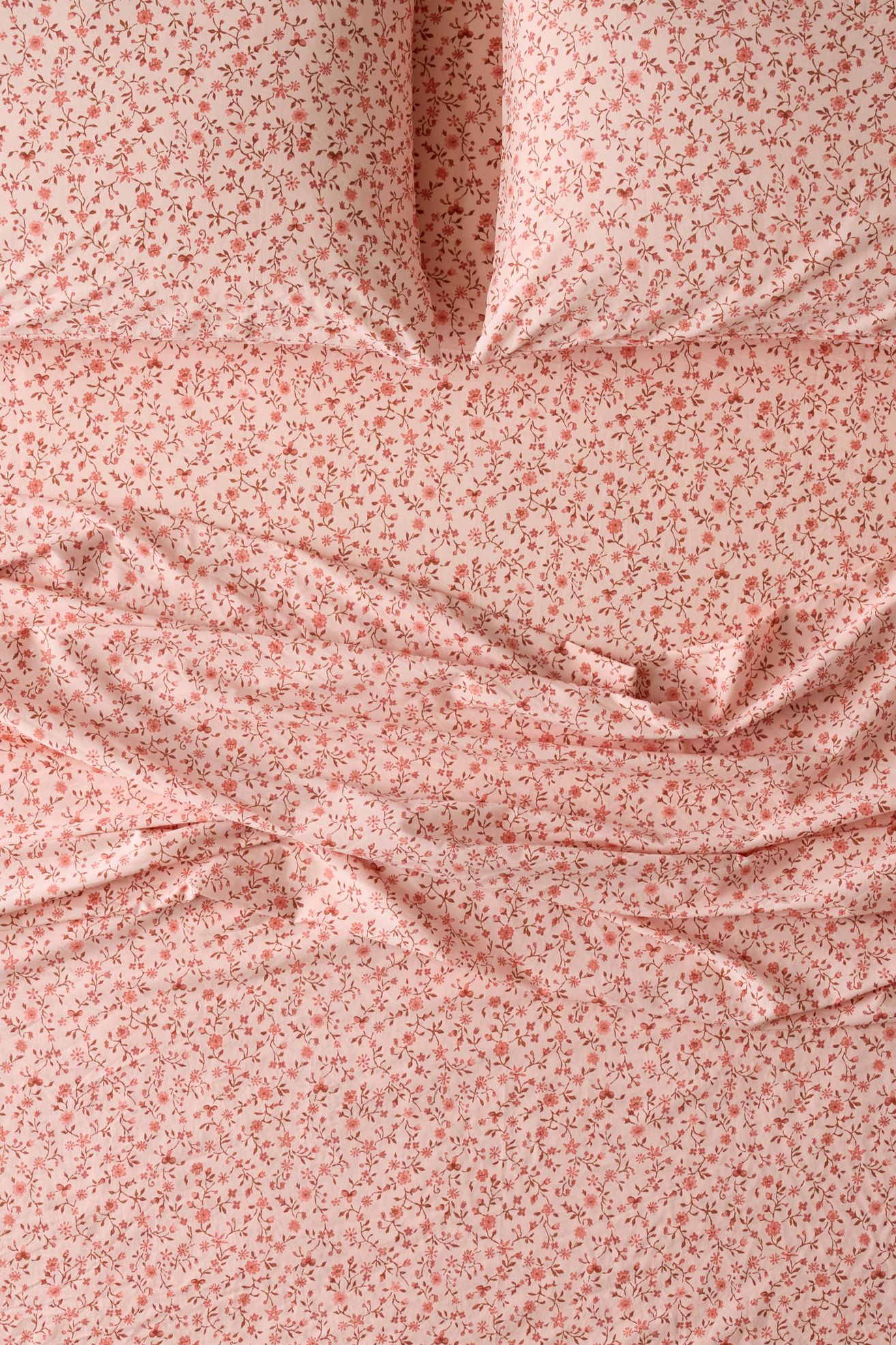Clarissa Floral Vine Sheet Set - Pink, QUEEN