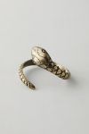 Snake Curtain Tie-back 