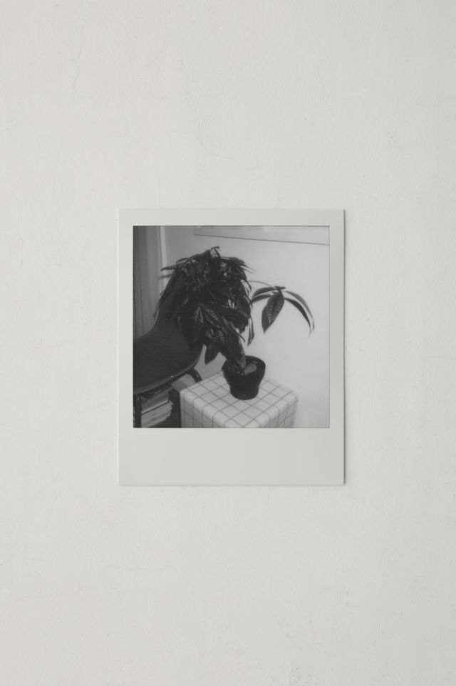 Polaroid Black & White i-Type Instant Film #1