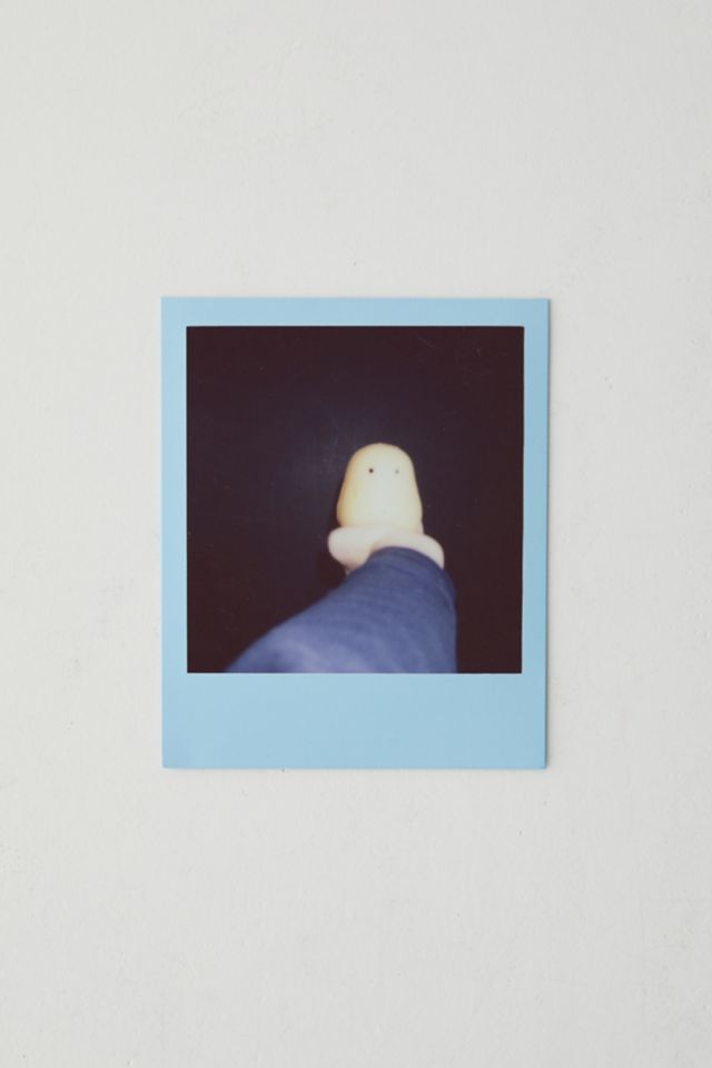 Polaroid Color i-Type Summer Edition Instant Film #1