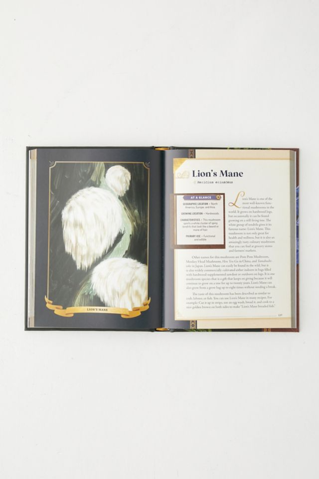 The Little Book Of Mushrooms: An Illustrated Guide To The Extraordinary Power Of Mushrooms, d'Alex Dorr #1