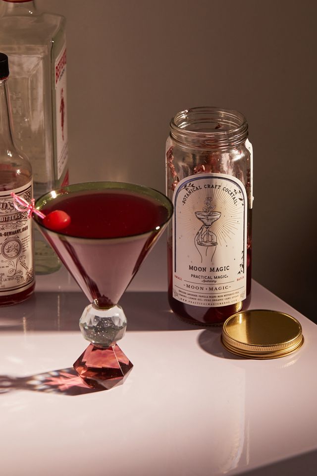 Practical Magic Craft Cocktail Kit Urban Outfitters