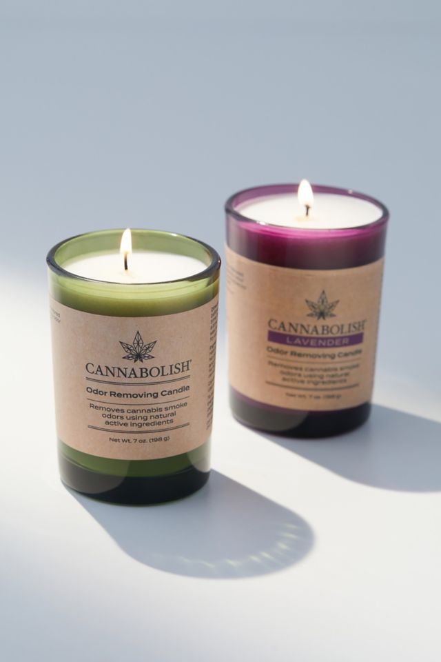 Bougie Cannabolish 7 oz #2