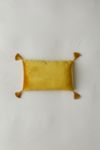 Raya Velvet Throw Pillow