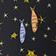Star Fish
