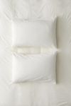 Lacey Bows Embroidered Sham Set