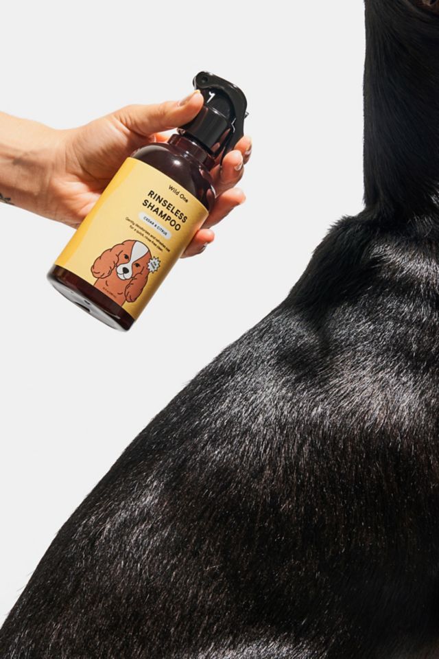 Wild One Cedar & Citrus Rinseless Dog Shampoo #1