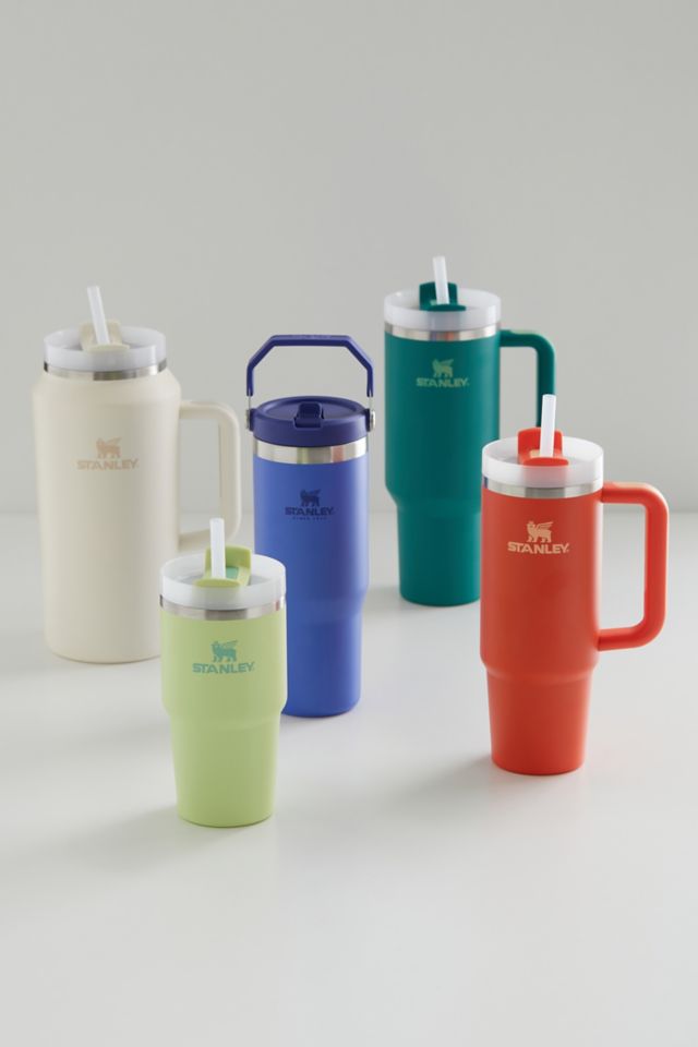 Stanley Quencher H2.0 FlowState™ 20oz Tumbler #5