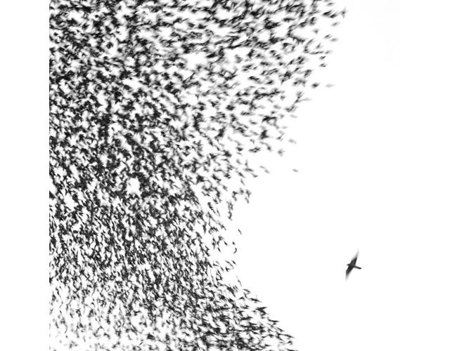 Wilco - Sky Blue Sky  LP #1
