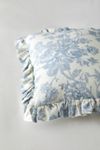 Harper Patterned Ruffle Throw Pillow