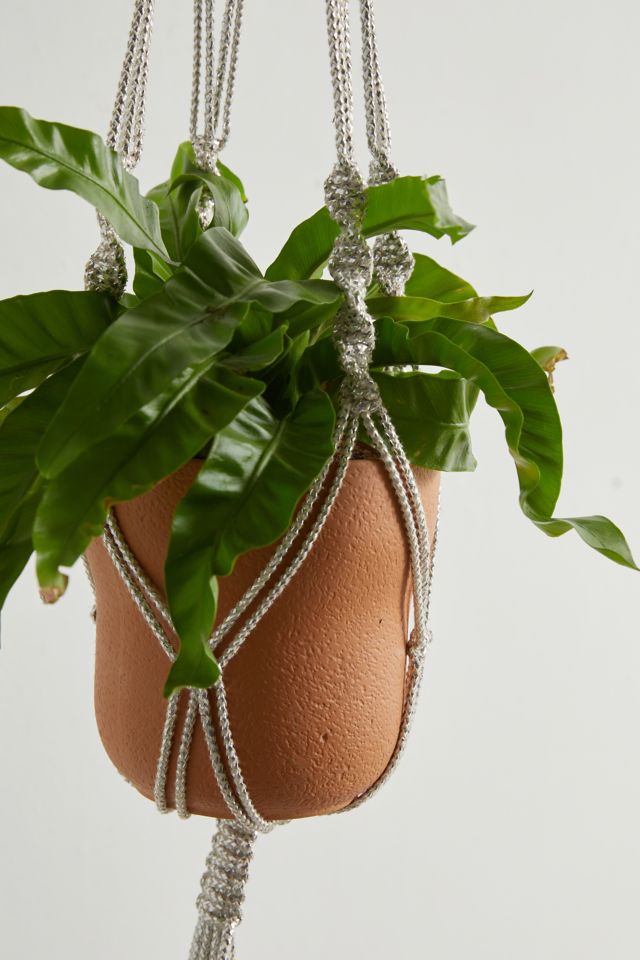 Shiny Macrame Plant Hanger #3