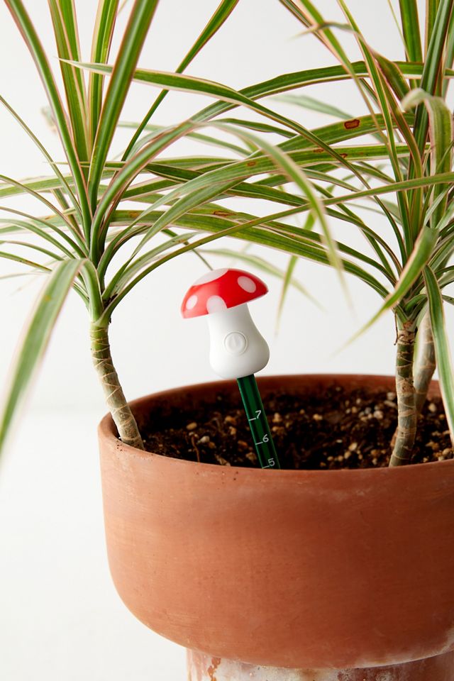 Mushroom Moisture Meter | Urban Outfitters