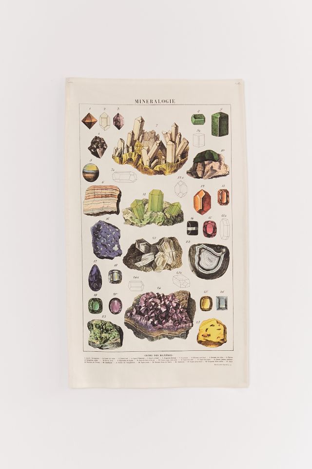 Specimen Reference Flag Tapestry Urban Outfitters Canada