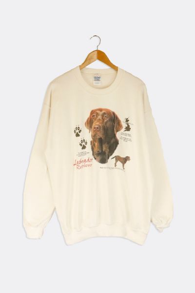 Golden retriever sweatshirt urban outfitters new arrivals