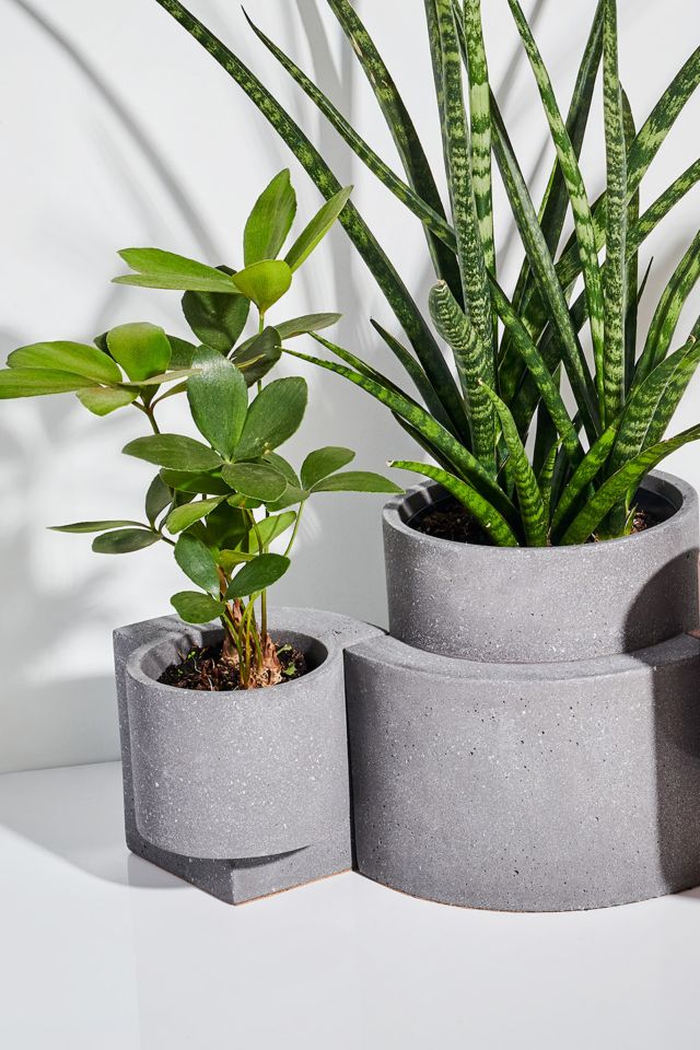 Tortuga Forma Concrete Terrazzo Planter - Set of 2 #2