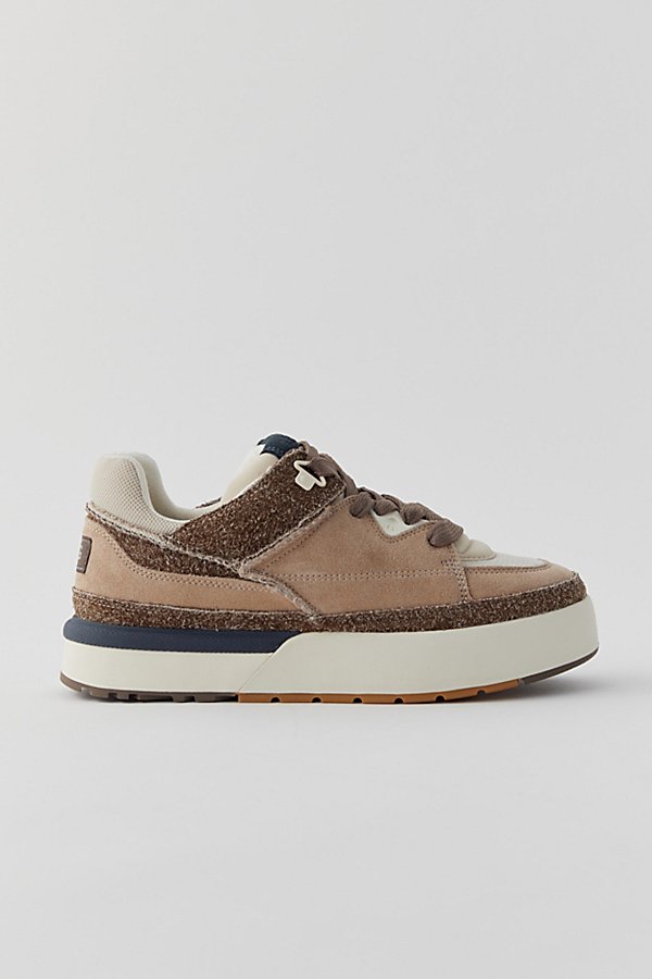 Shop Ugg Goldencush Sneaker In Sand, Men's At Urban Outfitters