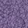 Lavender Bear