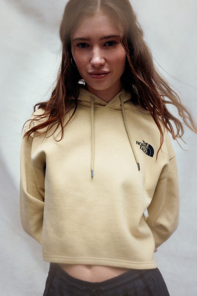 Beige north face discount hoodie