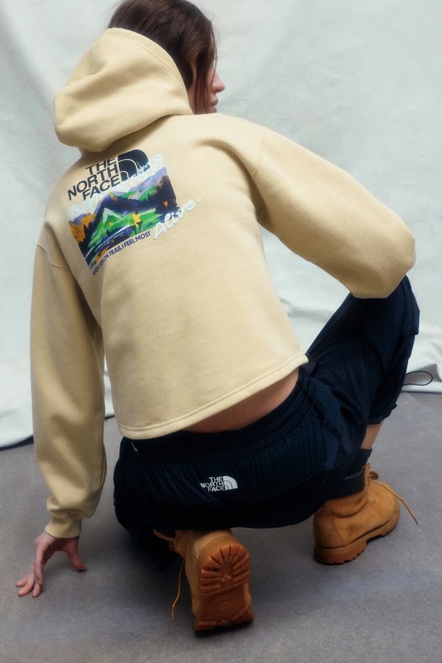The North Face Evolution Hoodie Sweatshirt #1
