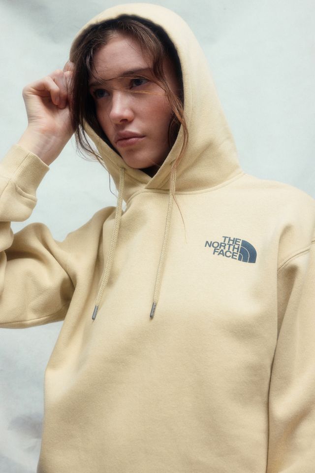 North face hoodie urban outfitters best sale