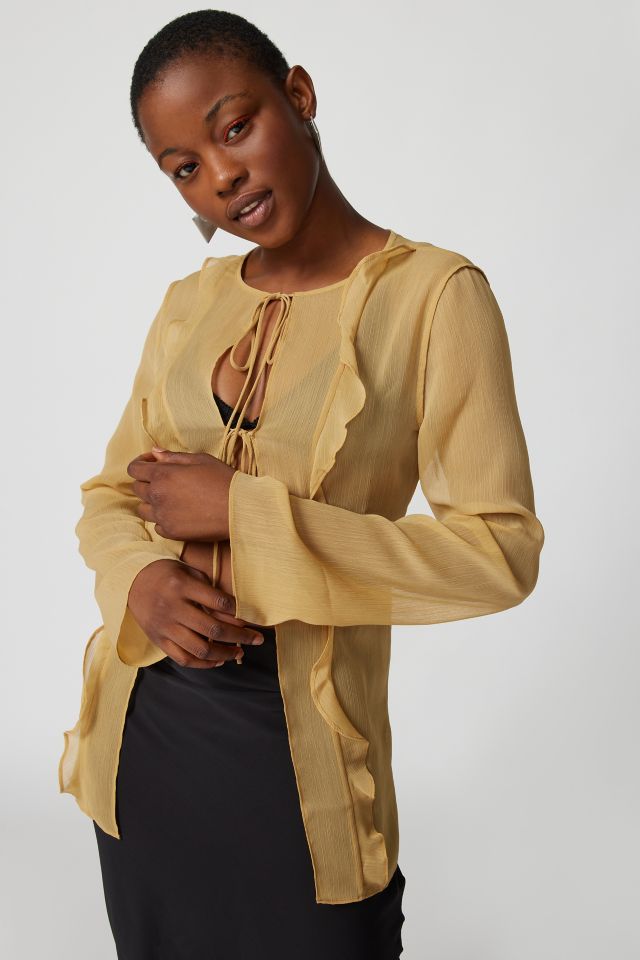 Lioness Barely There Sheer Tie-Front Top