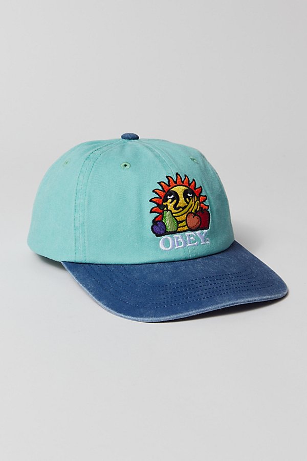 Shop Obey Fruits Pigment Dye 6-panel Hat In Blue, Men's At Urban Outfitters
