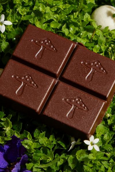 Alice Mushroom Chocolate Dietary Supplement