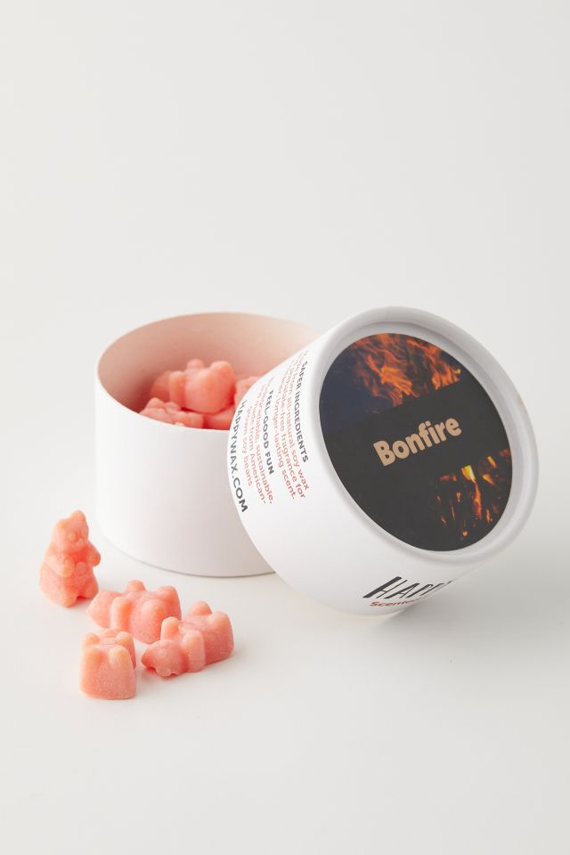 Ensemble de cire à fondre Tin Wax Happy Wax #2
