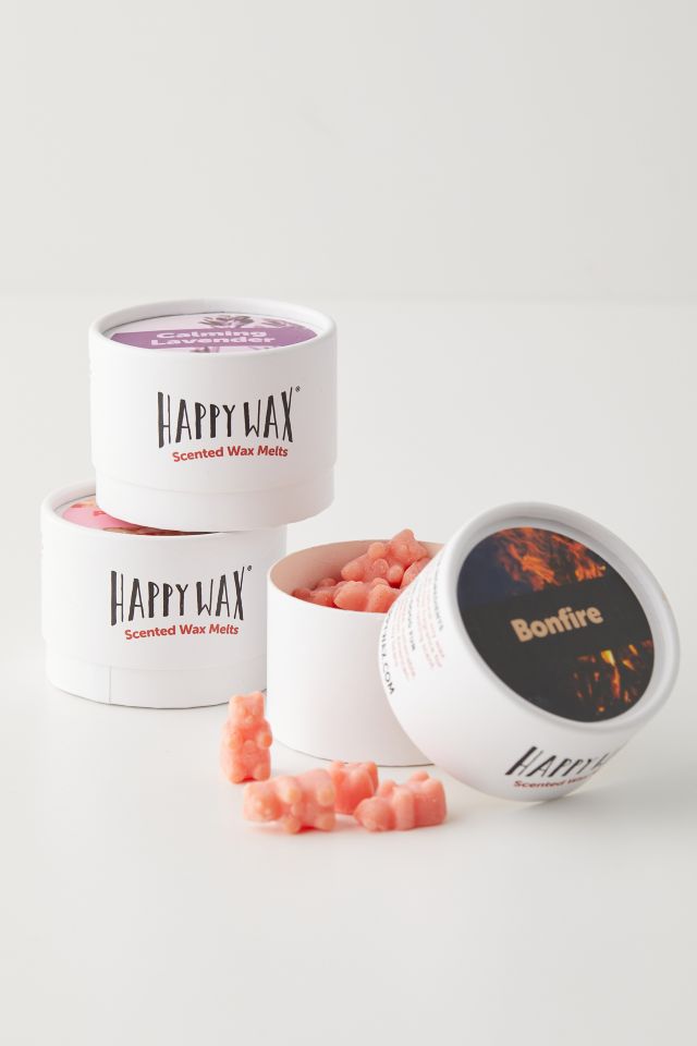 Ensemble de cire à fondre Tin Wax Happy Wax #3