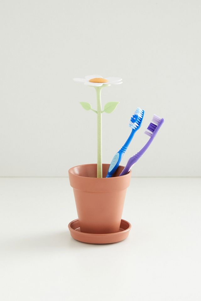 Daisy Toothbrush Holder Urban Outfitters Canada