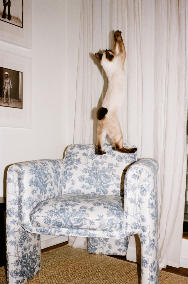 Floria Toile Chair #1