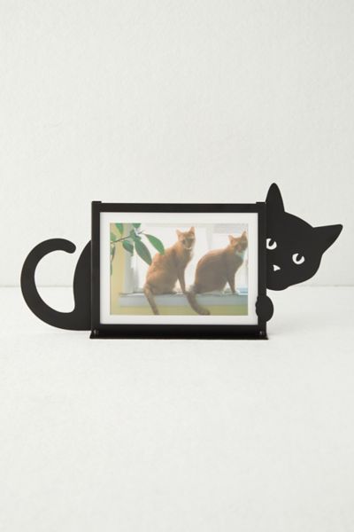 Urban Outfitters Cat Photo Frame In Black At  In Multi